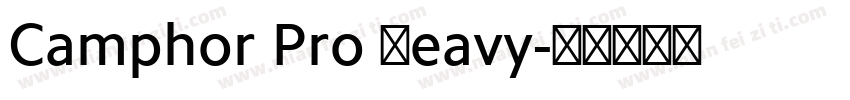 Camphor Pro Heavy字体转换